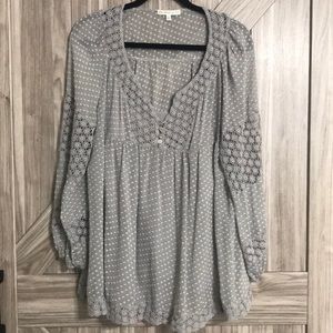 Daniel Rainn Tunic Blouse